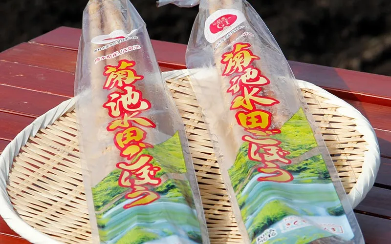 JA_kikuchi_2