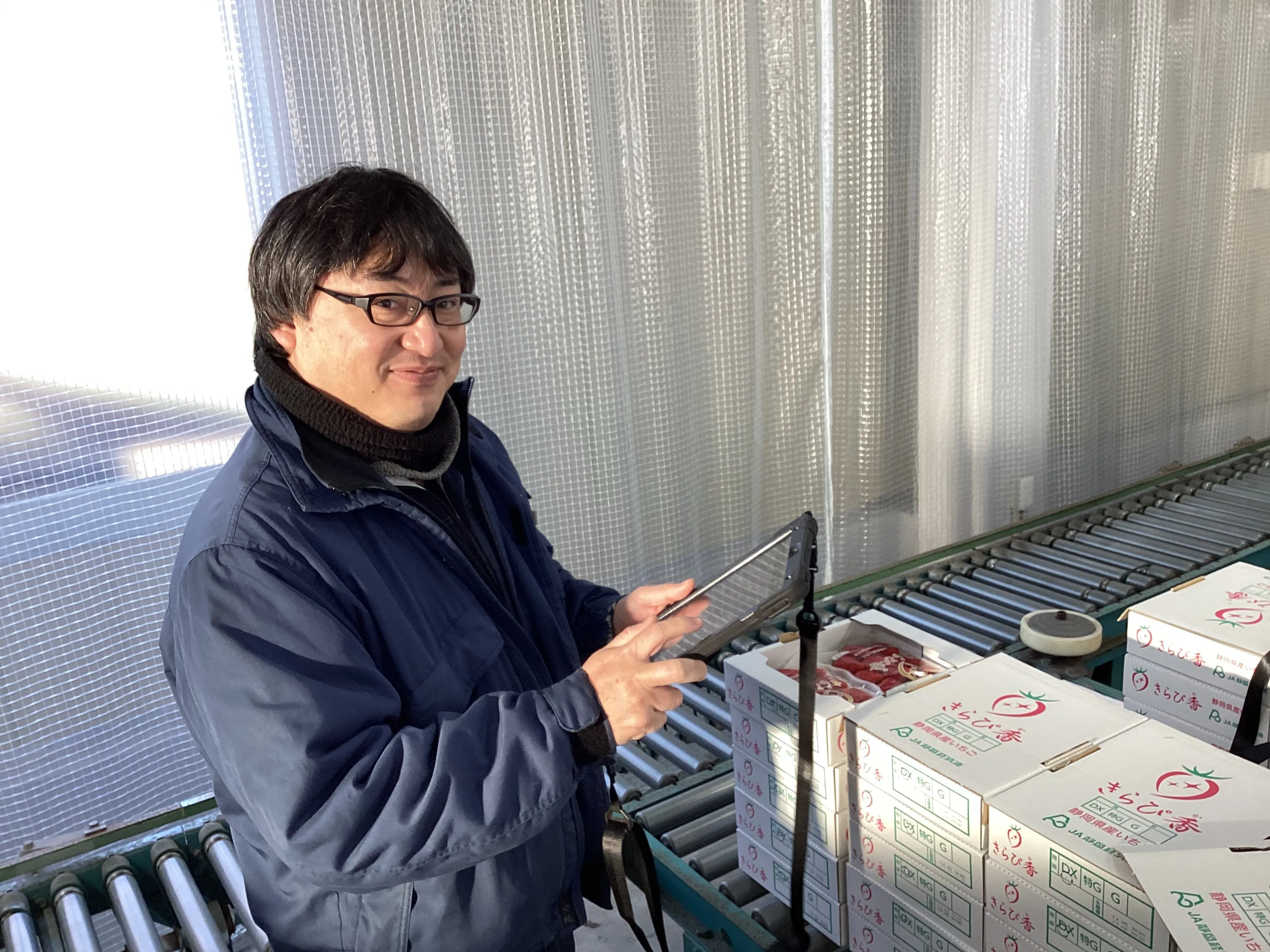 JAハイナン 出荷現場