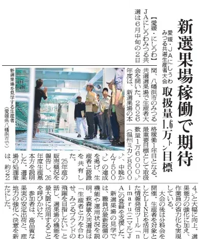 2026年7月2日 日本農業新聞 愛媛・JAにしうわ 新選果場稼働で期待 取扱量1.6万トン目標