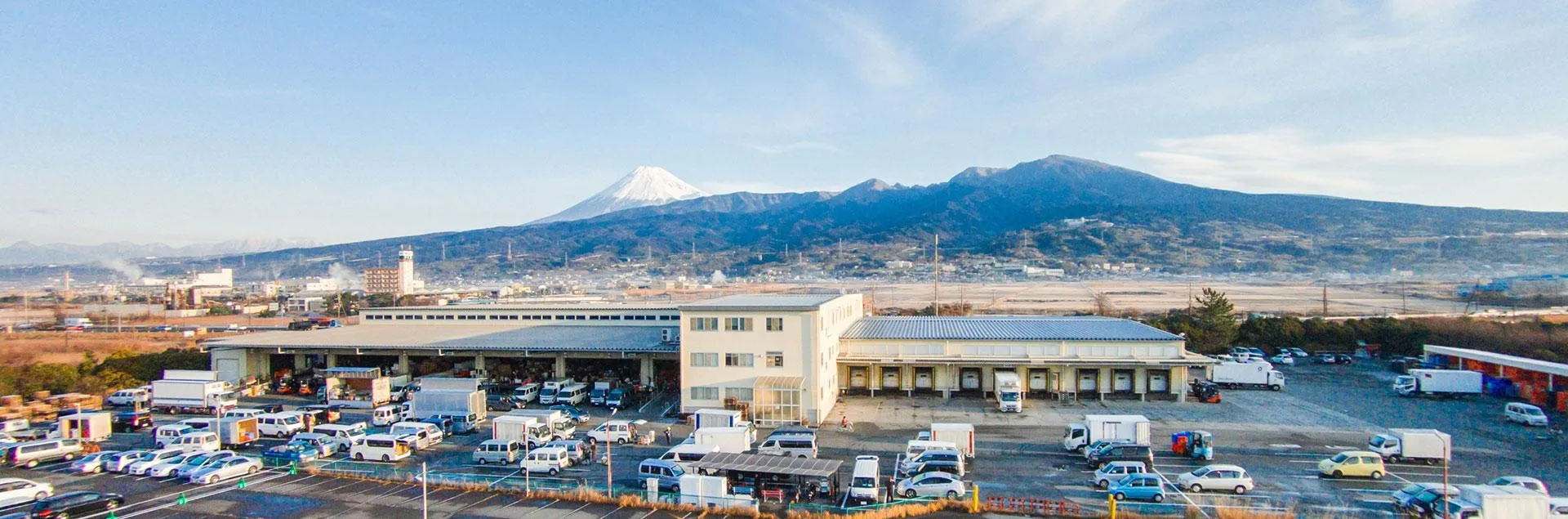 沼津中央青果 市場の様子