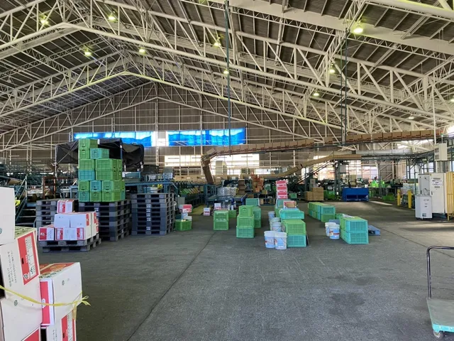 「勘と経験」から「データによる集荷数の事前把握」により物流コストを1割削減！